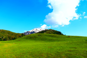 Explore Top Attractions (1) (1)